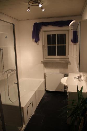 Ferienwohnung mit 4 Schlafzimmer für 2 bis 9 Gäste----Apartment with 4 bedrooms for 2 to 9 guests, Nürnberg (photo 8)