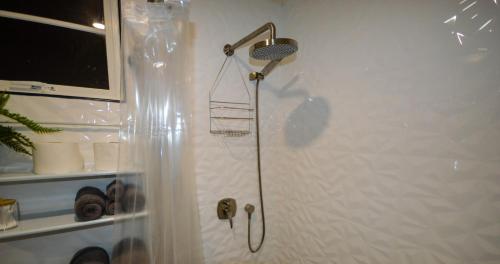 One-Bedroom Apartment room in Dorvic Cottage