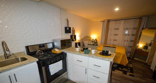 One-Bedroom Apartment image 6