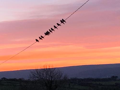 Burren Court Holiday Homes