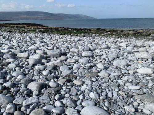 Burren Court Holiday Homes