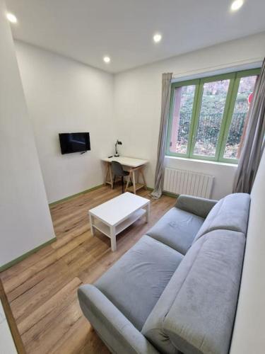 T1 BIS 1 chambre - Planfoy