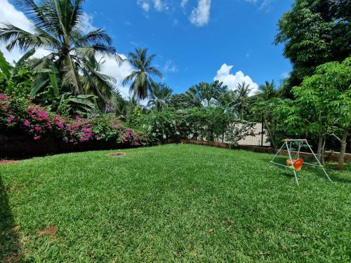 Appartement les petits Baobabs in 馬穆楚