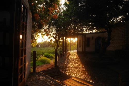 Dārzs, Darenas Hacienda in Aucallama
