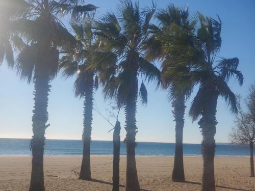 CAP HERMES Studio 31m2 Vue Port Climatise piscine, near Garden Ice Cafe