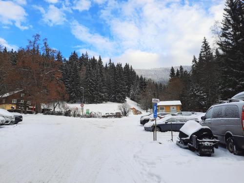 Velký apartmán Cihlarka