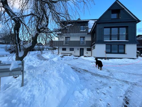 Astrid's Pension in Winterberg, Deutschland