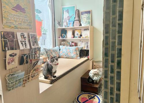 Sun Moment 鬆貓們評價、特色體驗、房價資訊、訂房連結 – 宜蘭頭城海邊貓咪民宿 - 照片 8