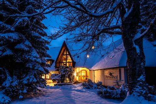 Landhaus Amselhof Hinterzarten 237m von PLZ 79856 entfernt