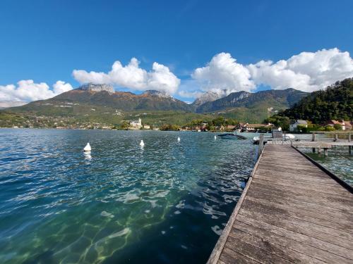 Studio les Pieds dans L'eau au bord du lac d'Annecy