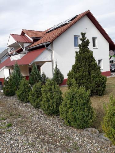 Ferienwohnung Lottstetten - Apartment