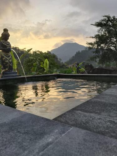 Swimming pool, Alam Bali Lake View in Kintamani