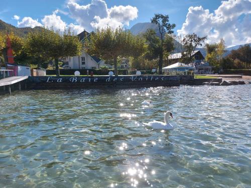 Charmant studio en rez de jardin au bord du lac d’Annecy