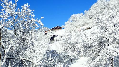 Zirbenchalet Obergruben