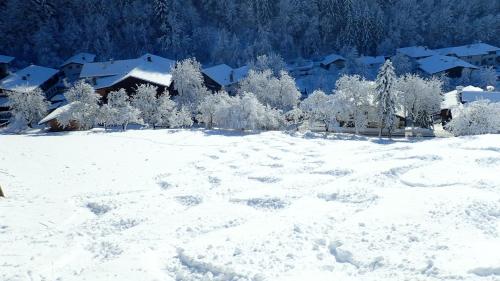 Zirbenchalet Obergruben