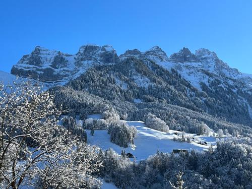 Studio - La Vièze Thermes Park, Val dʼIlliez (Foto 3)
