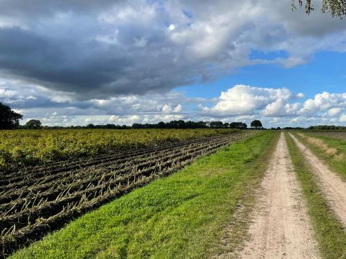 Wapen van Exloo - image 4