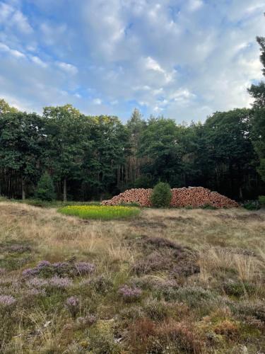 Wapen van Exloo - image 6