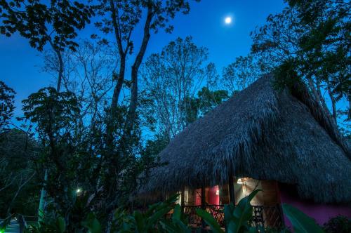 View, Las Guacamayas Lodge, Selva Lacandona, Chiapas Mexico in Selva Lacandona (Ocosingo)