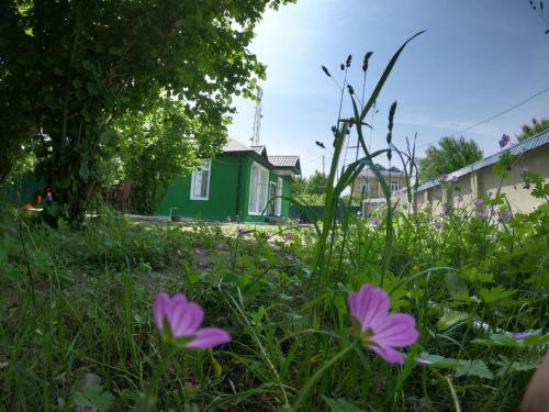 Vendam Home