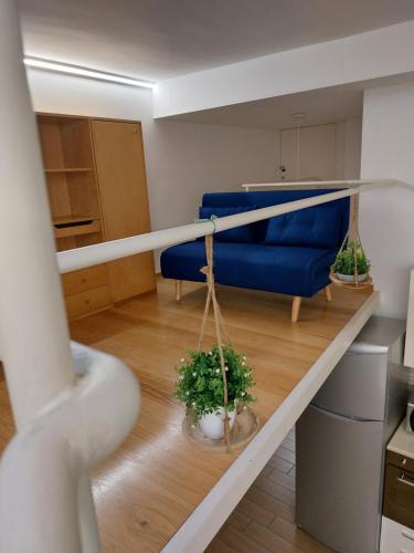 Raggio di sole Room Type - Apartment with Terrace