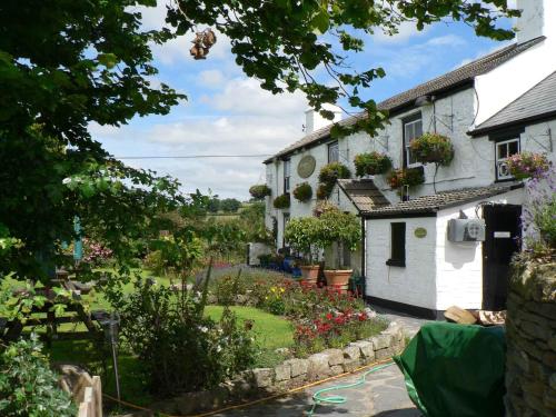 The Elephants Nest Inn Brentor