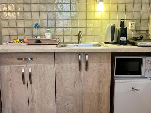 Studio Apartment image 3