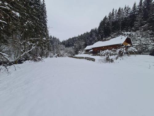 Apkārtne, Chalet am Bach in Deutsch-Griffen