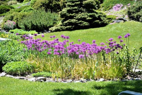 Carraig Mor Cottage - Beautiful House, Amazing Garden, Downtown Baileys Harbor thumb 3