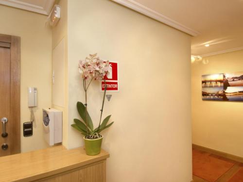 Pension Anoeta 5