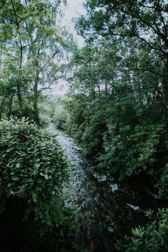 River Side Cabin with Hot tub Snowdonia in Pen-y-bryn