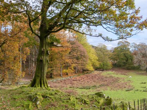 Acorn Windermere - image 12