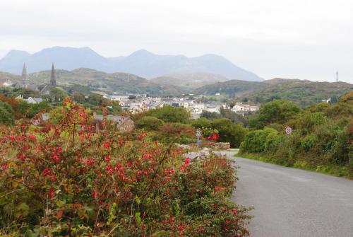 Ben View Guesthouse – Clifden