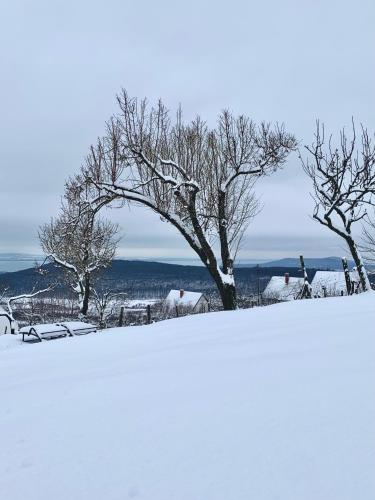 Nagykulcsos Nyúlontúl