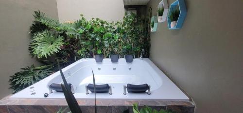 Libertador Aptos l Jacuzzi l In Provenza, Медельин (фото 7)