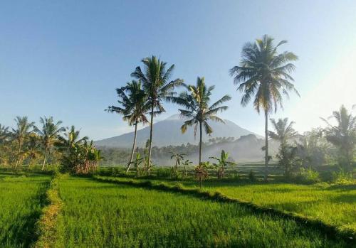 Villa & Farm for 5, near Sidemen w/ Mt. Agung View