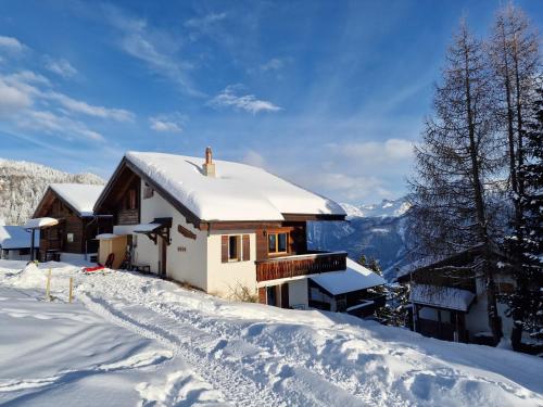 Bettmeralp Chalet Zendorn - Apartment - Bettmeralp