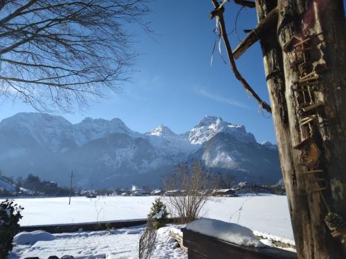 Chalet Scheffsnoth, Lofer (foto 5)