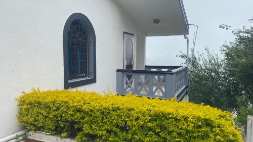 Three-Bedroom House image 5