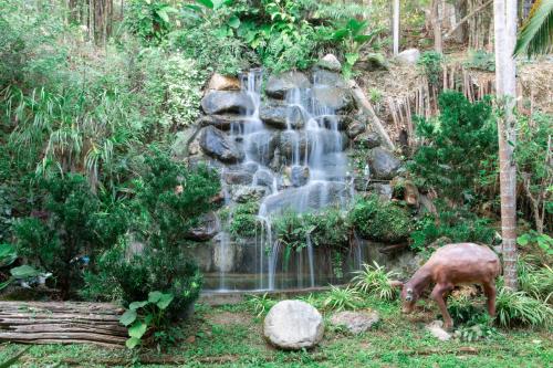 U Maerim Chiangmai - อยู่แม่ริม เชียงใหม่