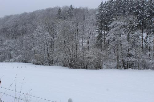 Eine Quelle der Ruhe und Erholung