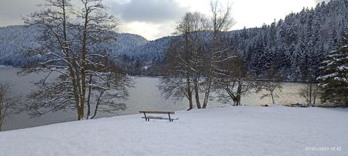 A 2 pas du lac - Location saisonnière - Xonrupt-Longemer