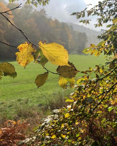 Gartenblick