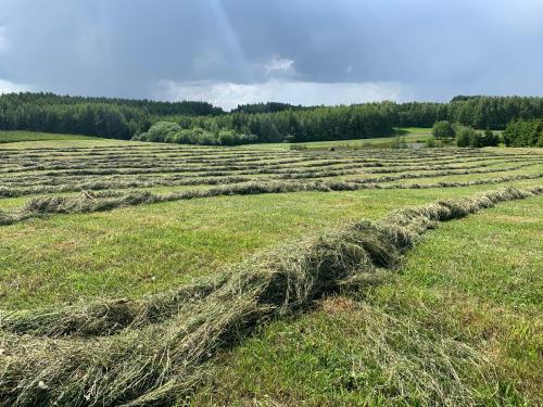 Siedlisko Wiłkupie, Dom nad stawem