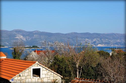  Apartments Sunny House in Lumbarda