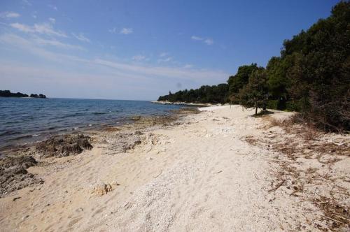 Room in Rovinj with terrace, air conditioning, W-LAN 81-6, Ровинь (фото 10)