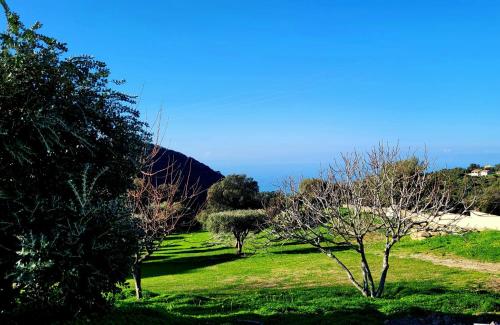 Locations en Corse U San Daniellu