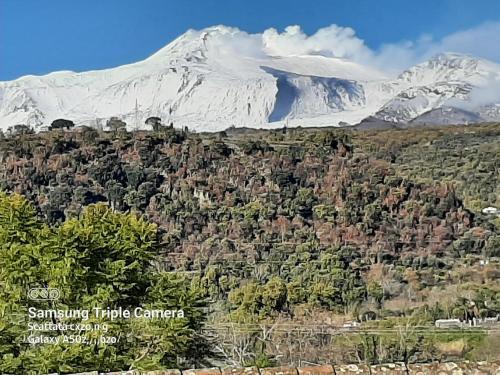 Etna - Taormina, Mascali (zdjęcie 2)