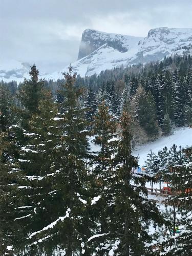 Super Dévoluy, Résidence le Bois D'Aurouze