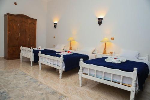 Luxor Oasis Guest House - image 2